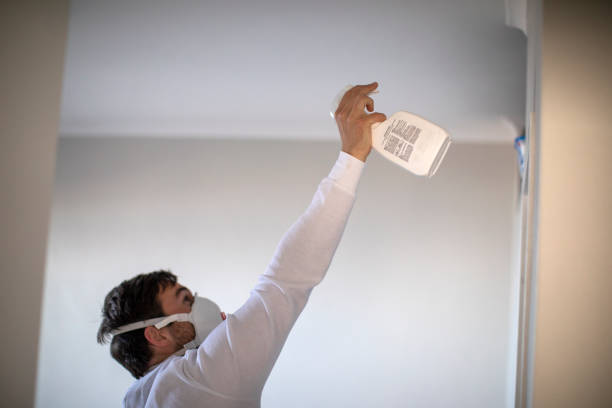 Trusted Glenside, PA Mold Removal Experts