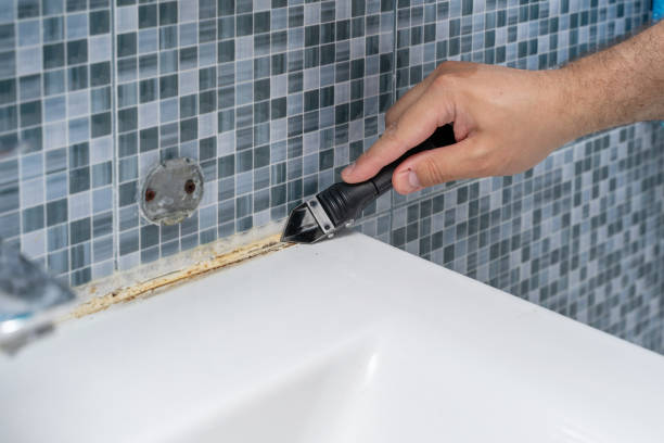 Mold Testing and Removal in Glenside, PA